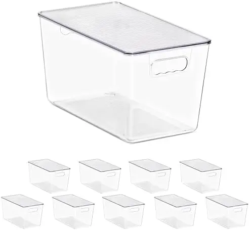 Clear Storage Bins with Lids for Kitchen (Extra Large, 10 Pack)