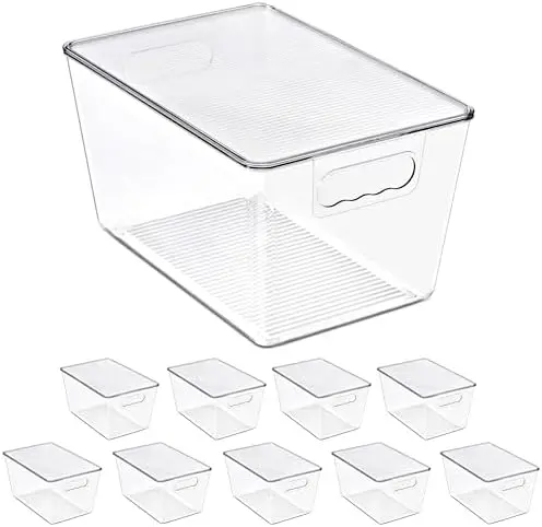 Clear Storage Bins with Lids for Kitchen (Large, 10 Pack)