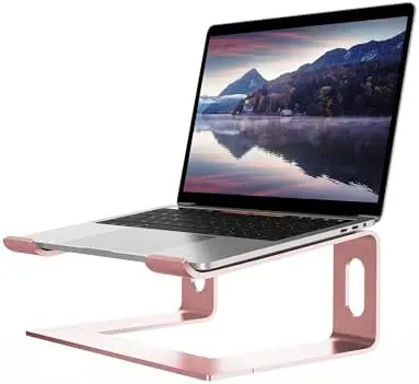 Ergonomic Laptop Stand, Aluminum Desk Riser, 10-15.6", Pink