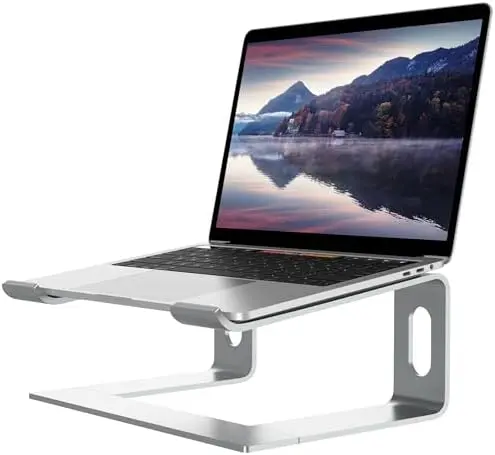 Ergonomic Laptop Stand, Aluminum Desk Riser, 10-15.6", Silver