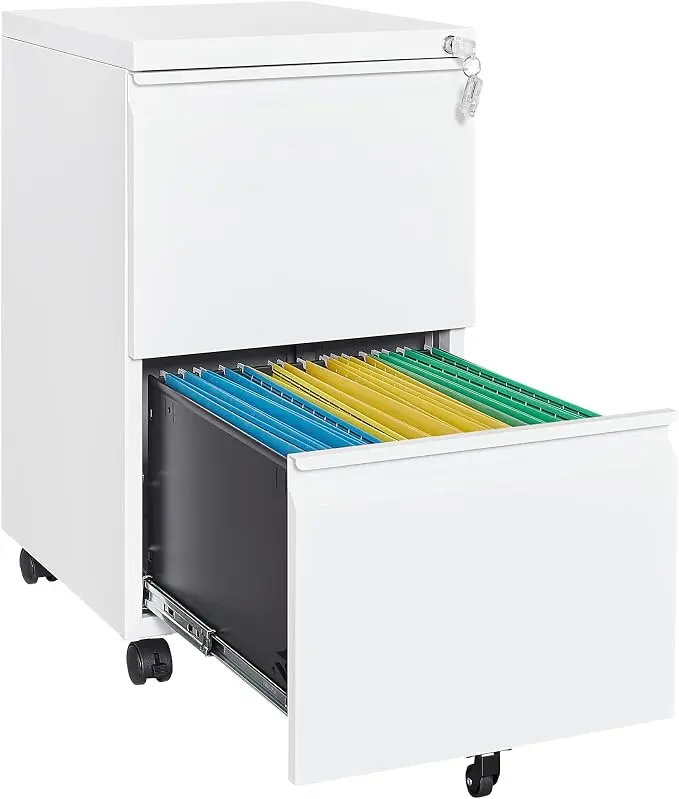 Letaya 2 Drawer Mobile File Cabinet