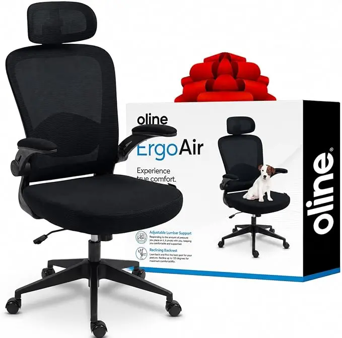 Oline ErgoAir Ergonomic Office Chair – Adjustable Lumbar Support, Flip-Up