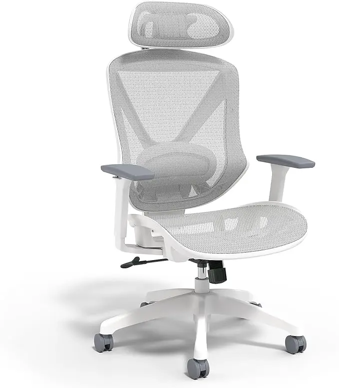 STAPLES Ergonomic Task Chair, Lumbar Support