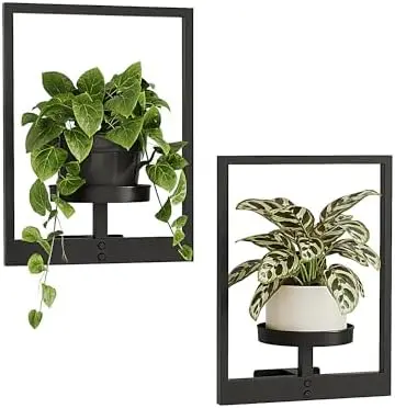 Wall Plant Holder Plant Stand Indoor Wall Planters Black