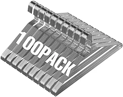 Wire Metal Clothes Hangers Bulk 100 Pack, Ultra Thin, Silver